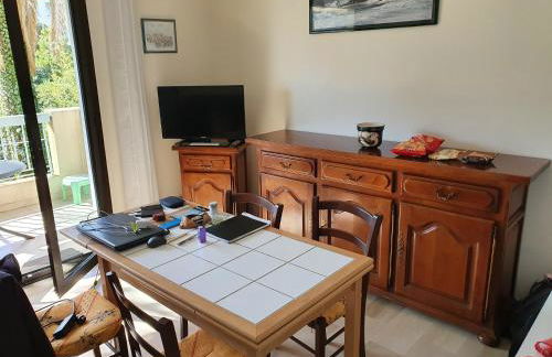 Cannes près Croisette beau 2 pièces 3 étoiles - Foto 31