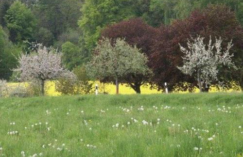 Ferienhaus Weitblick - Foto 14
