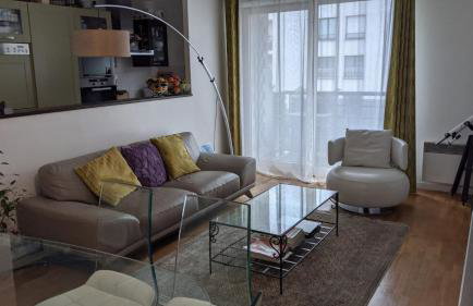 Appartement lumineux Seine, île St-Germain, proche Porte de Versailles et la Défense - Photo 6