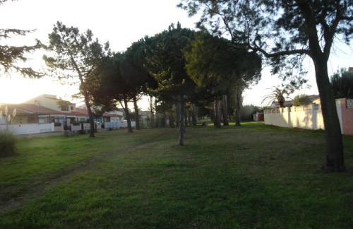 Les Cigalines - Photo 17