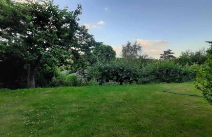 Ferienwohnung Eckhardt - Foto 21