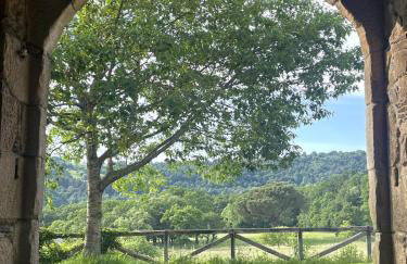 Casa Grande de Láncara - Foto 27