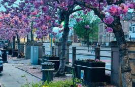 No.3 On The Square - Foto 3