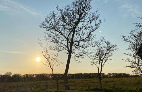 Pointer Cottage - Foto 12