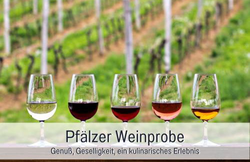 WINETIME - Apartment Roschbach - für bis zu 5 Personen - idyllisch an den Weinbergen der südlichen Weinstraße zwischen Landau und Neustadt gelegen - Photo 35