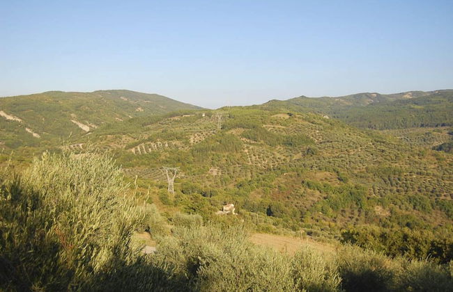 Verdidea - Poggio Aperto - Foto 67