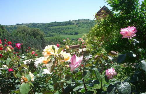 Torraccia di Chiusi Agriturismo Relais - Photo 118