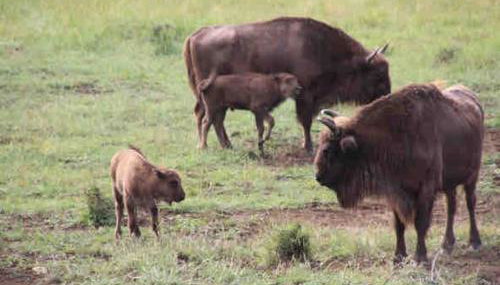 Greolières: Superbe Studio avec vue montagne - Foto 3