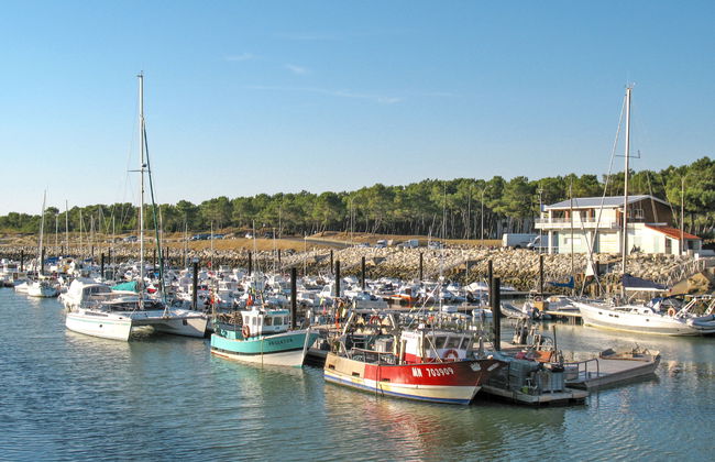 Les Narcisses - Foto 36