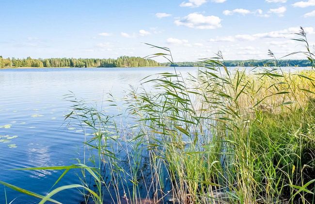 Kilpikonna - Foto 24