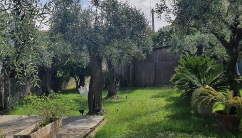 La Casa Del Giardino Degli Olivi - Foto 3