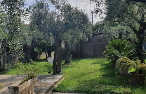 La Casa Del Giardino Degli Olivi - Foto 3