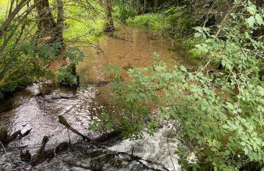 Jolly Old House - Foto 6