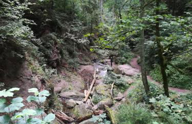 Ferienwohnung Hasenfratz - Foto 11