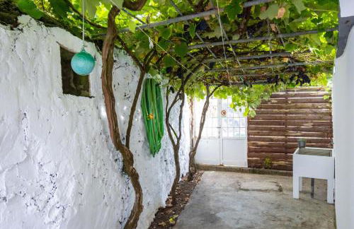 Milena Guest House - Photo 37