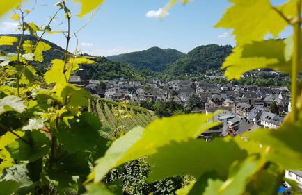 Ferienwohnung bei Blesers - Foto 24