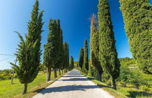 Villa Mamma Mia - Foto 24