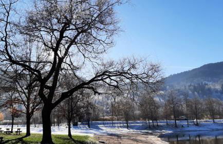 Chez Vovone 3 étoiles clévacances - Foto 41