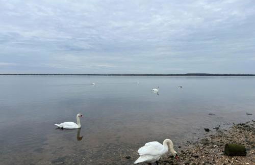 Waterfront Designer Retreat! Stunning Sunsets! Less than 5 minutes to the beach! - Foto 17