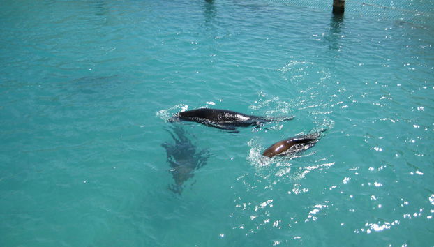 Visita all'Acquario Marino - Foto 3