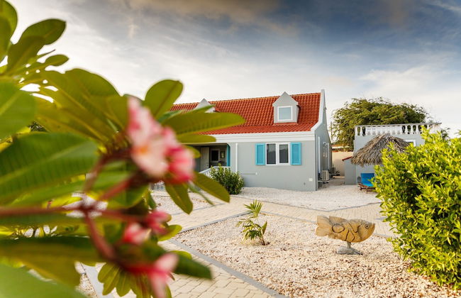 Aruba Boutique Apartments Adults Only - Foto 71