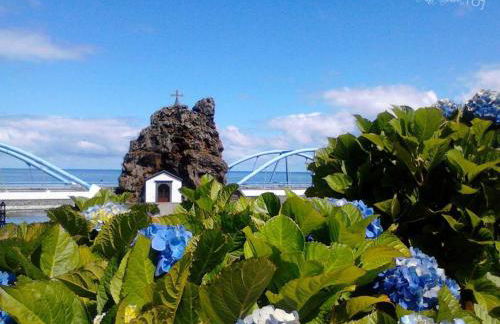 Pereira Place - Foto 10