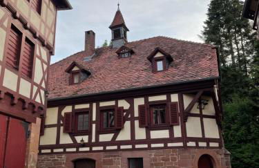 Historische Mühle am Schloss - Foto 8