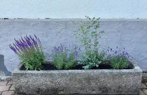 Nibelungen 4 Zimmer Apartment - Foto 40