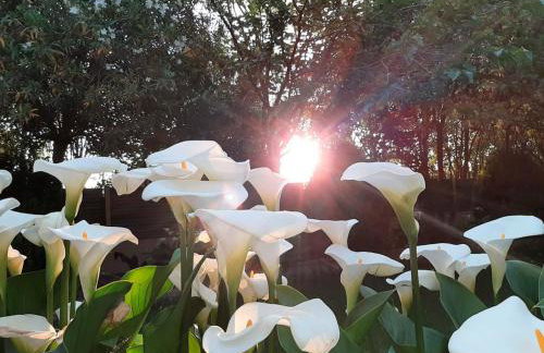 VILLA AFRICA - Foto 37