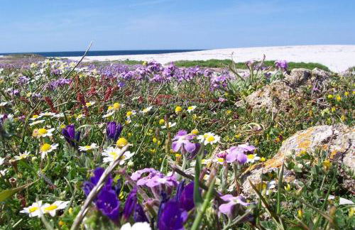 Agriturismo Le Mimose - Foto 15