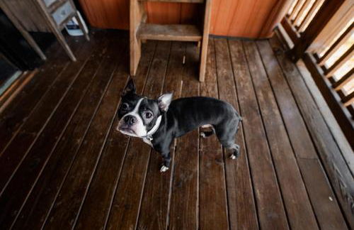 A Rustic Hideout - Foto 35