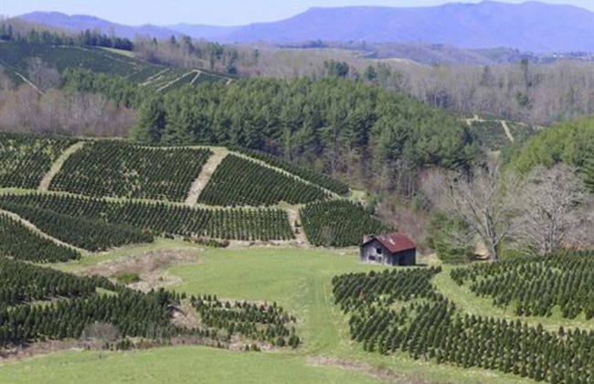 The Cabins at Healing Springs - Foto 56