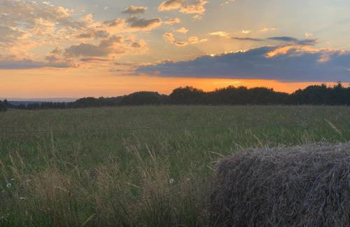 La Maison aux Volets Bleus 3ème Étage - Photo 20