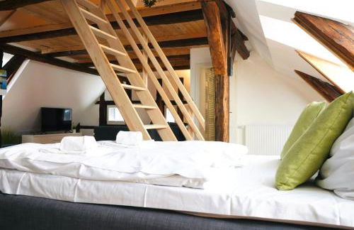 Altstadt Apartment V- Studio-3 Personen- Waschmaschine- Parkplatz - Photo 13