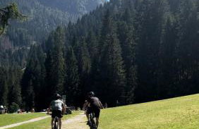 Val di Sole Apartment - Photo 17