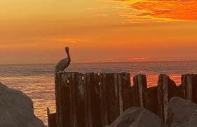 Majestic Beach Condo in Beachfront Resort in St Pete Beach - Foto 28