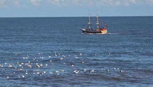 Pet Friendly Sleeps 3 Chalet Bridlington Free Elec - Foto 5