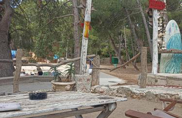 App Bonić - Foto 45