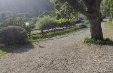 Azienda Agricola Biologica La Cardellina - Foto 6