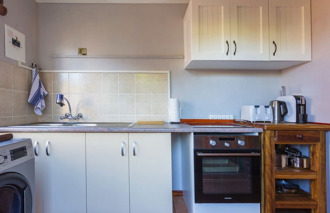 Experience Nature at Brenton on Sea With Breakers Dolphins and Whales - Foto 23