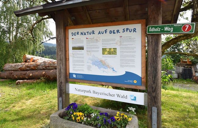 Geraumige Ferienwohnung in Stocking in Waldnahe - Photo 31