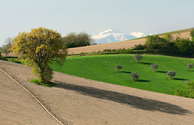 Relais Il Margarito - Foto 56