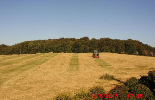Ferienwohnung Liane - Foto 29