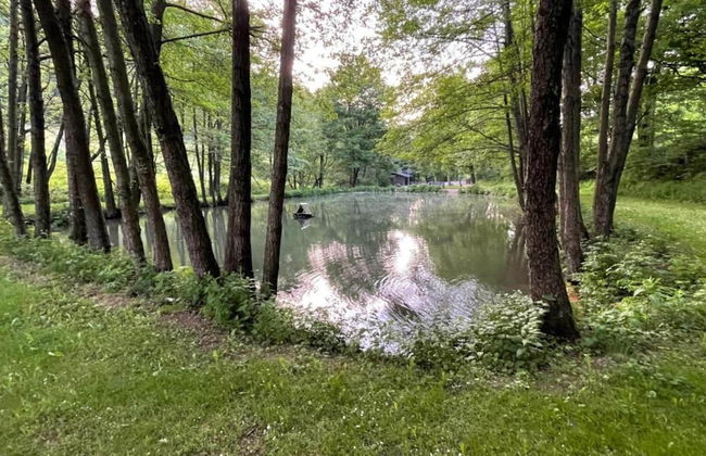 Wohnung mit Balkon und Toller Aussicht - Foto 19