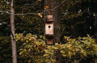 Okno na Beskidy - Foto 40