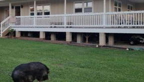 Mākaha House - Foto 5