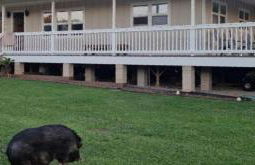 Mākaha House - Photo 5