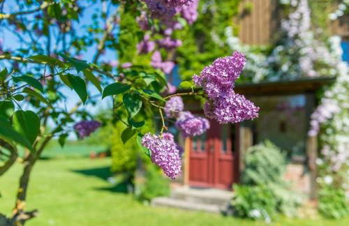 Tarnewitz in the Thorstorf estate barn - Foto 11