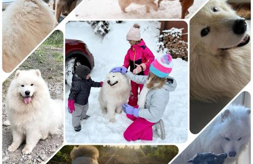 Apartament z sauną i jacuzzi na wyłączność - Sikorówka - Dobre Miejsce - Foto 22