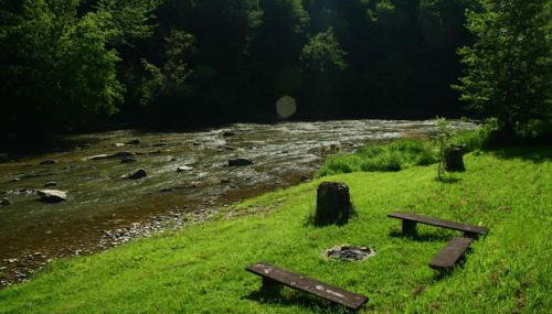 Pod Orzechem - Photo 4